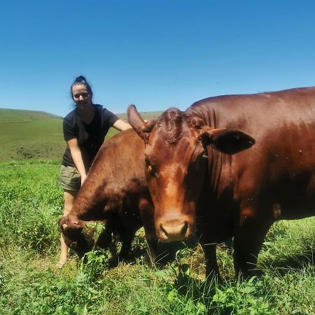 Hotel Nguni Moon Tepee Camp Underberg Exterior foto